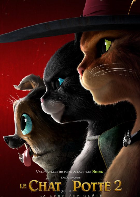 Le chat potté 2 : la dernière quête de Januel P. Mercado, Joel Crawford