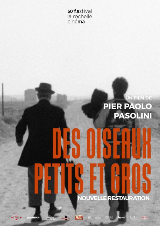 Des oiseaux petits et gros de Pier Paolo Pasolini