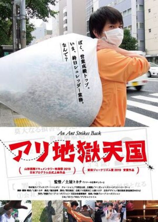 Fenêtre sur le Japon : Une fourmi contre-attaque
