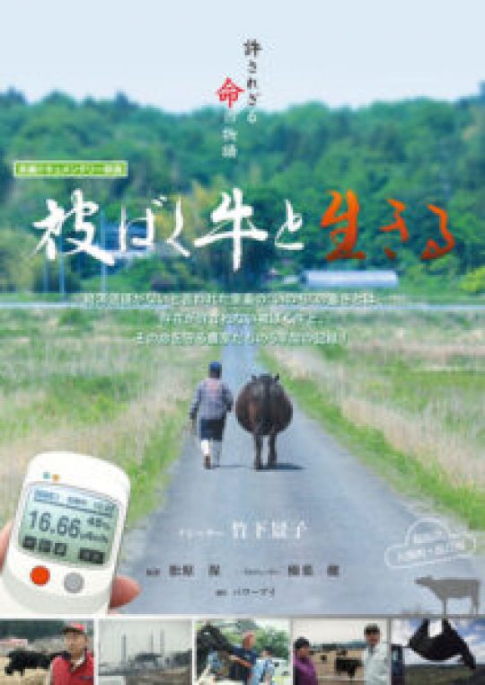 Fenêtre sur le Japon : Mon troupeau irradié