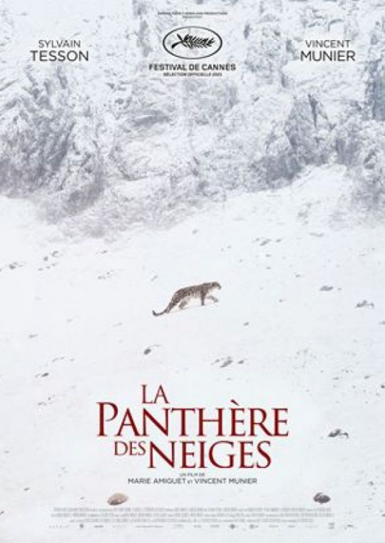 La panthère des neiges, de Marie Amiguet et Vincent Munier