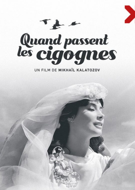 Quand passent les cigognes de Mikhaïl Kalatozov